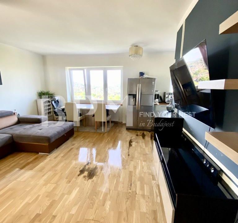 Newly renovated apartment with balcony
