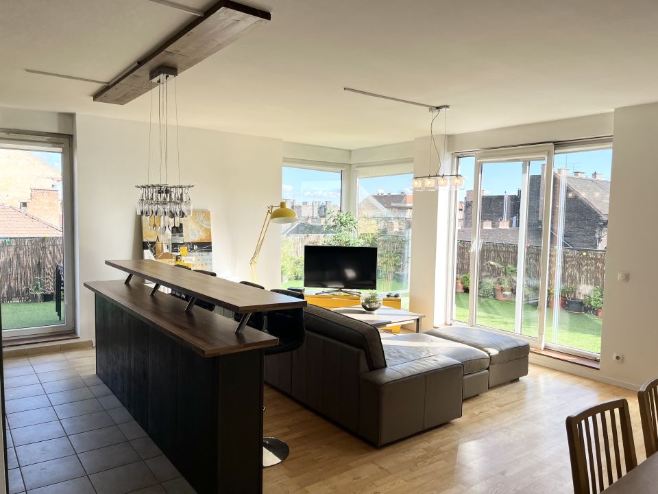 Luxury apartment in the city center
