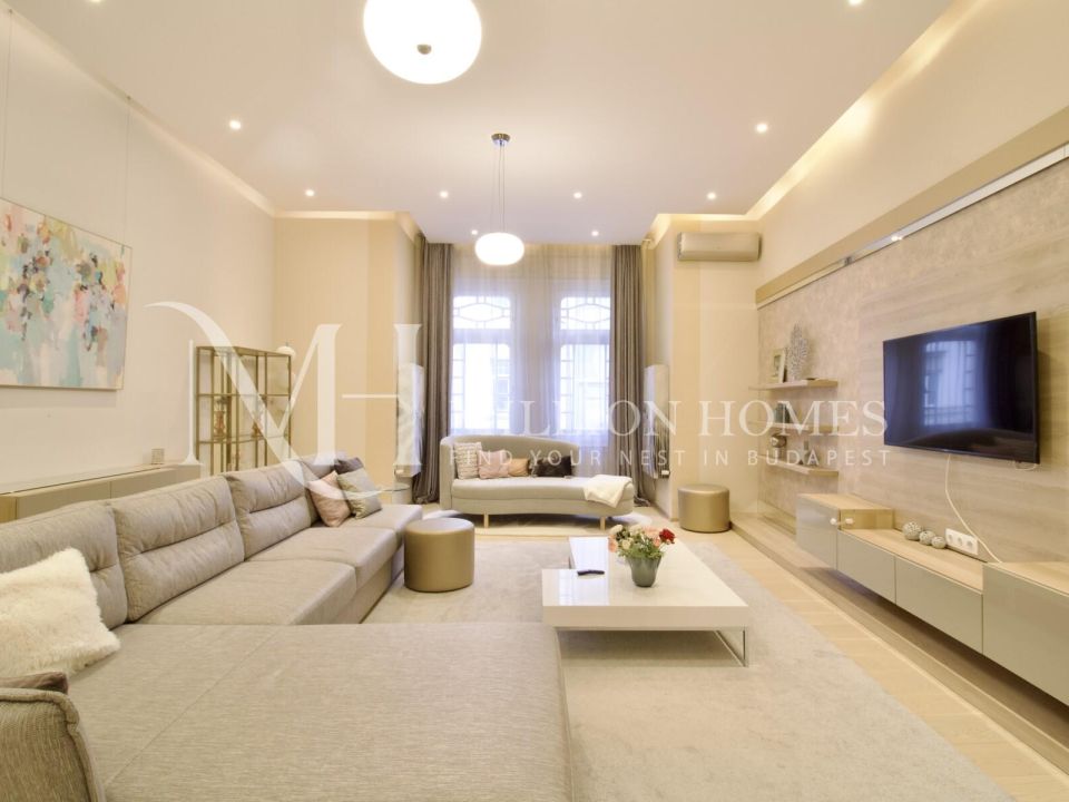 Luxurious apartment in downtown