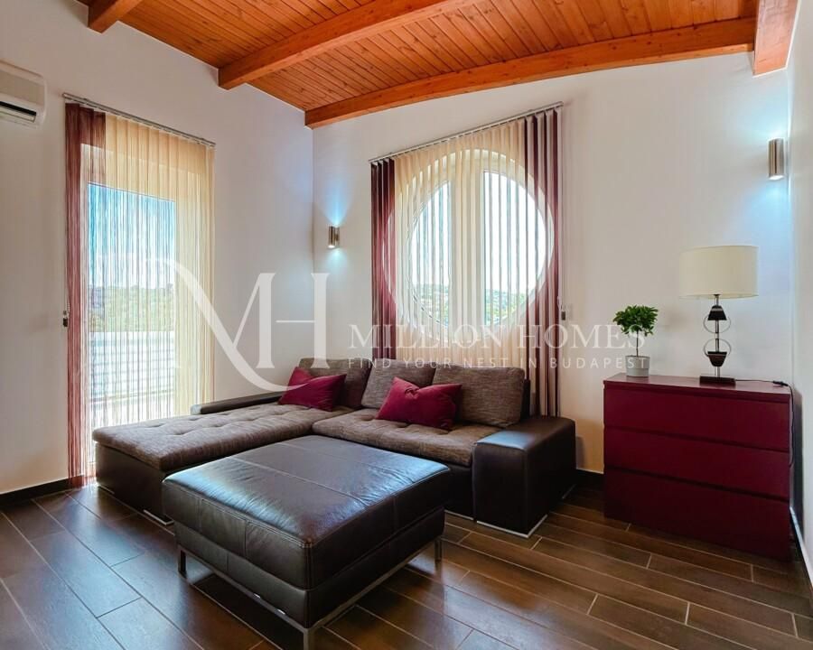 Buda side luxurious penthouse with 2 beds