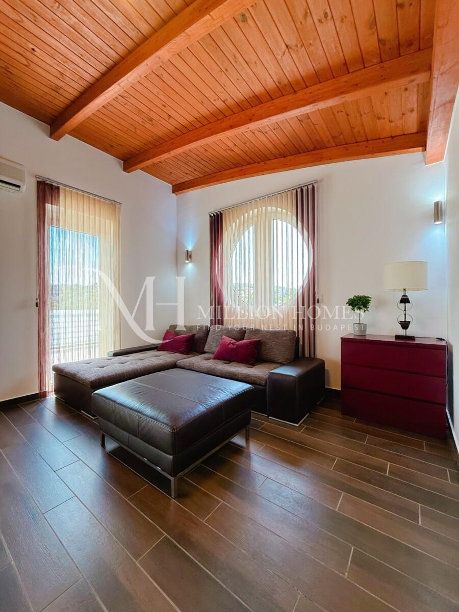Buda side luxurious penthouse with 2 beds